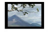 arenal volcano costa rica with tropical hardwood tree branch